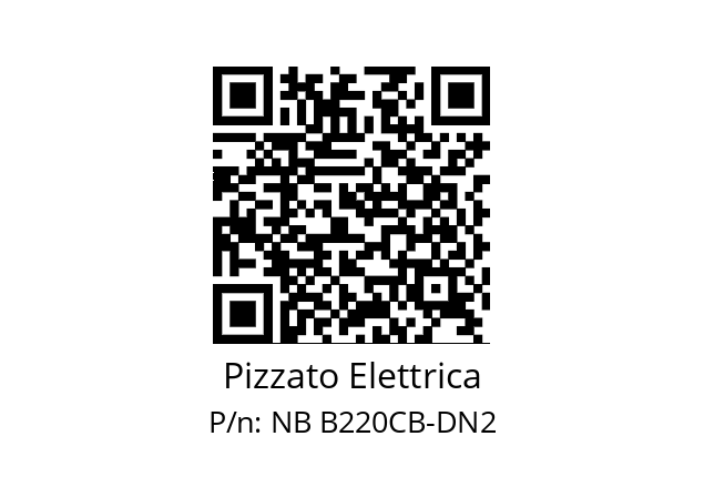   Pizzato Elettrica NB B220CB-DN2