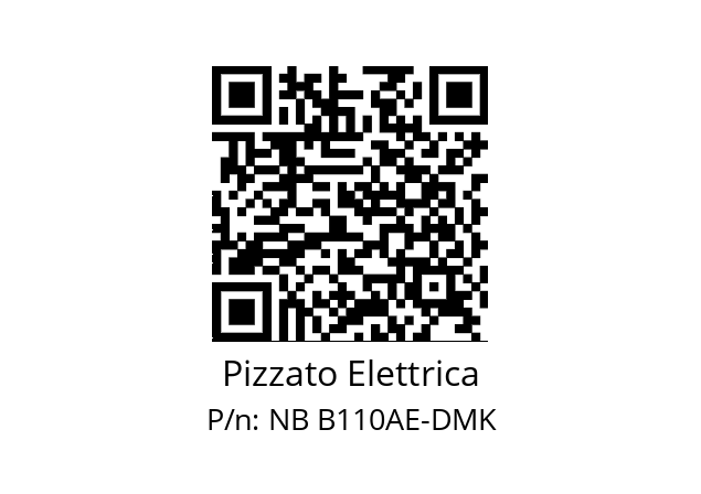   Pizzato Elettrica NB B110AE-DMK