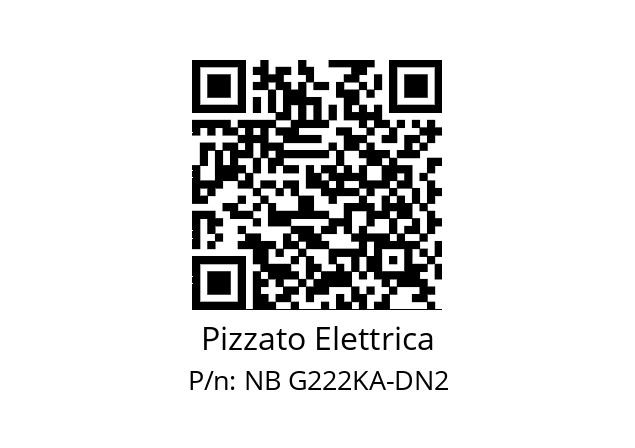   Pizzato Elettrica NB G222KA-DN2