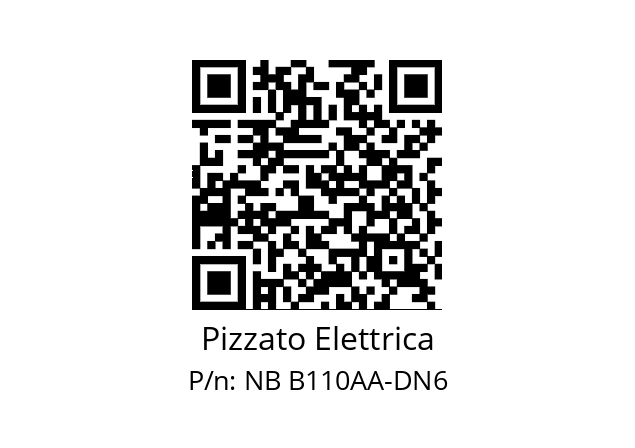   Pizzato Elettrica NB B110AA-DN6