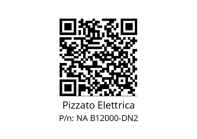   Pizzato Elettrica NA B12000-DN2