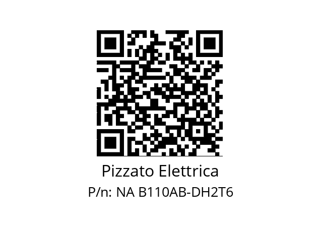   Pizzato Elettrica NA B110AB-DH2T6