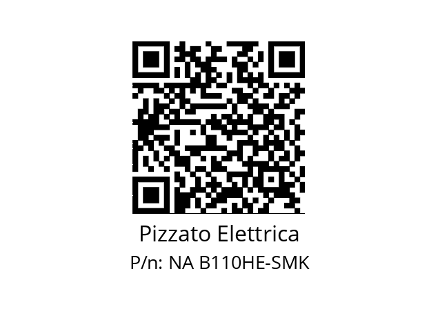   Pizzato Elettrica NA B110HE-SMK