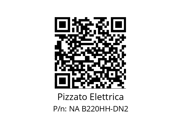   Pizzato Elettrica NA B220HH-DN2