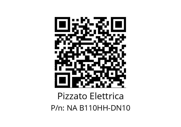   Pizzato Elettrica NA B110HH-DN10