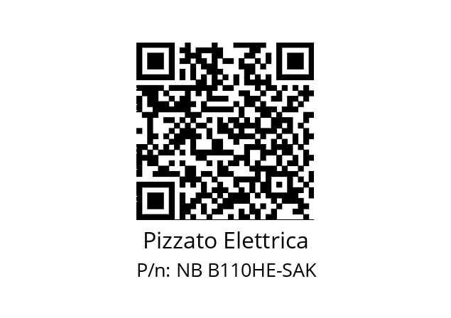   Pizzato Elettrica NB B110HE-SAK