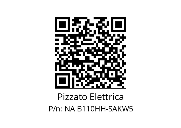   Pizzato Elettrica NA B110HH-SAKW5