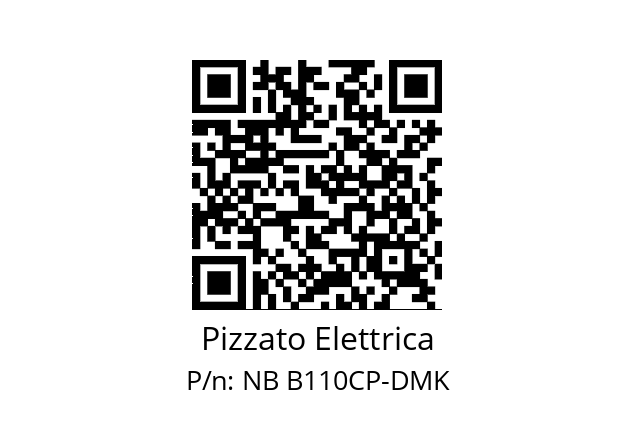   Pizzato Elettrica NB B110CP-DMK