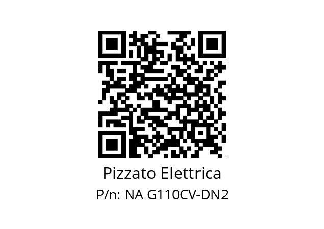   Pizzato Elettrica NA G110CV-DN2