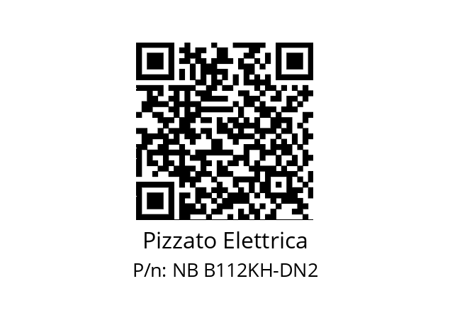   Pizzato Elettrica NB B112KH-DN2