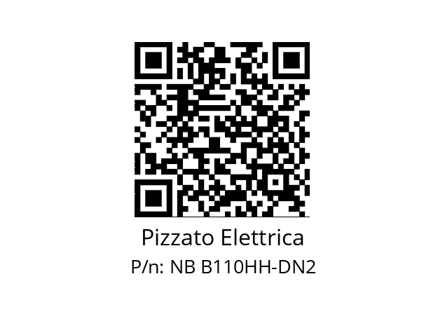   Pizzato Elettrica NB B110HH-DN2