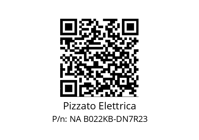   Pizzato Elettrica NA B022KB-DN7R23