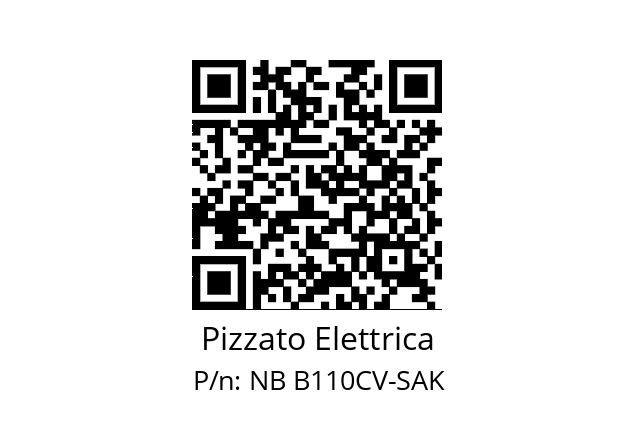   Pizzato Elettrica NB B110CV-SAK