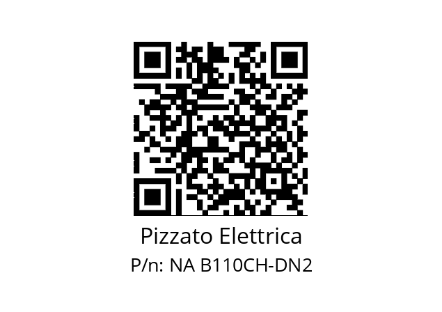   Pizzato Elettrica NA B110CH-DN2