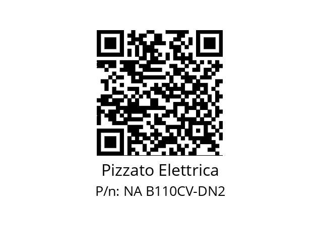   Pizzato Elettrica NA B110CV-DN2