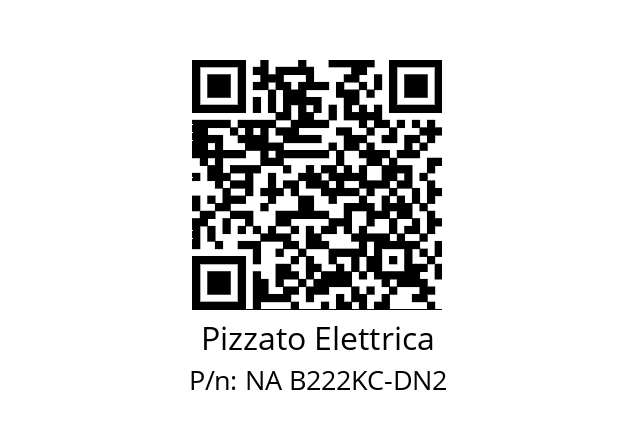   Pizzato Elettrica NA B222KC-DN2