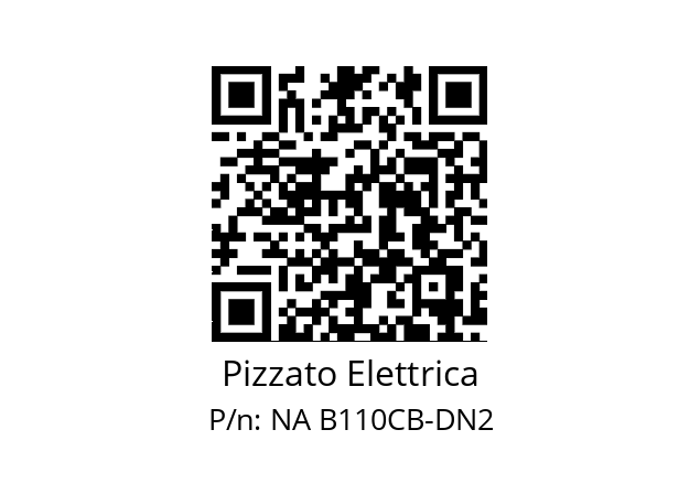   Pizzato Elettrica NA B110CB-DN2