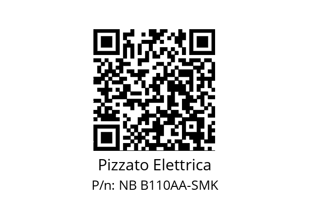   Pizzato Elettrica NB B110AA-SMK