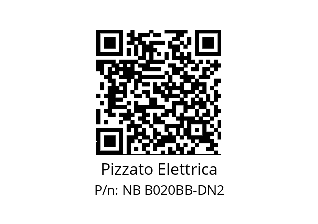   Pizzato Elettrica NB B020BB-DN2