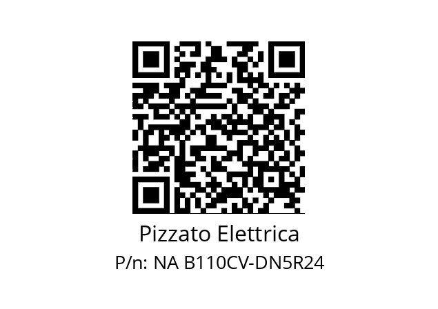   Pizzato Elettrica NA B110CV-DN5R24