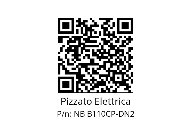   Pizzato Elettrica NB B110CP-DN2