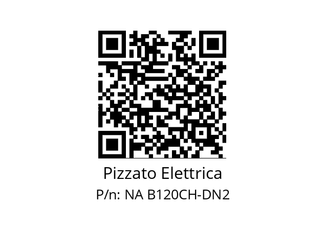   Pizzato Elettrica NA B120CH-DN2