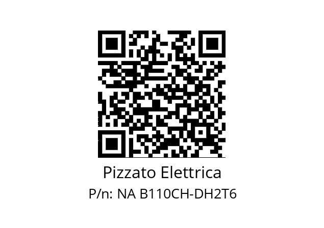   Pizzato Elettrica NA B110CH-DH2T6