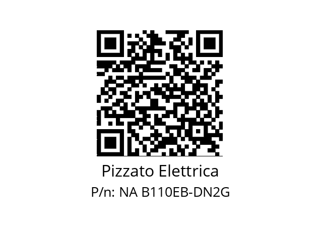   Pizzato Elettrica NA B110EB-DN2G