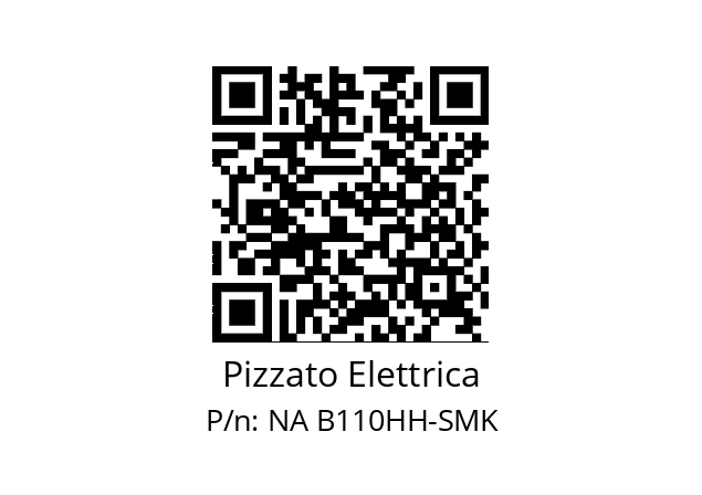   Pizzato Elettrica NA B110HH-SMK