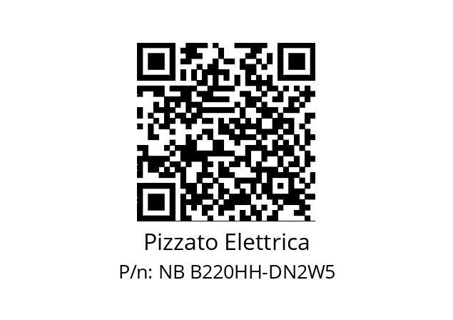   Pizzato Elettrica NB B220HH-DN2W5