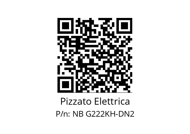   Pizzato Elettrica NB G222KH-DN2