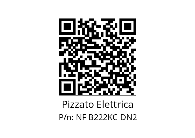   Pizzato Elettrica NF B222KC-DN2