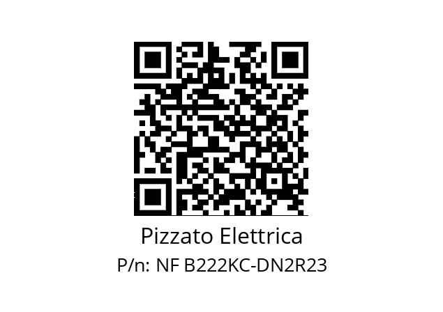   Pizzato Elettrica NF B222KC-DN2R23