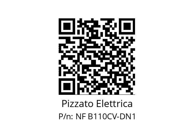   Pizzato Elettrica NF B110CV-DN1