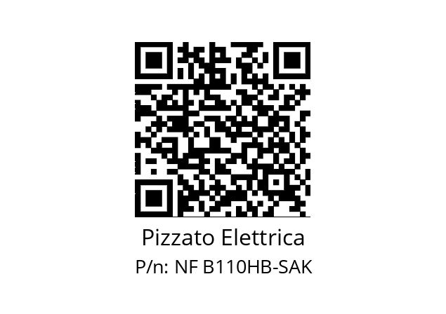   Pizzato Elettrica NF B110HB-SAK