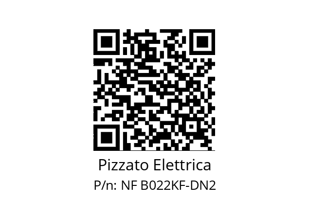   Pizzato Elettrica NF B022KF-DN2