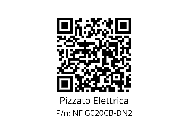   Pizzato Elettrica NF G020CB-DN2