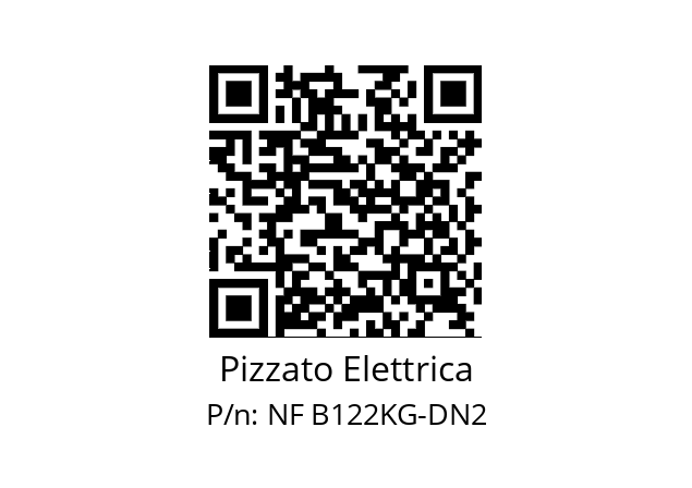   Pizzato Elettrica NF B122KG-DN2