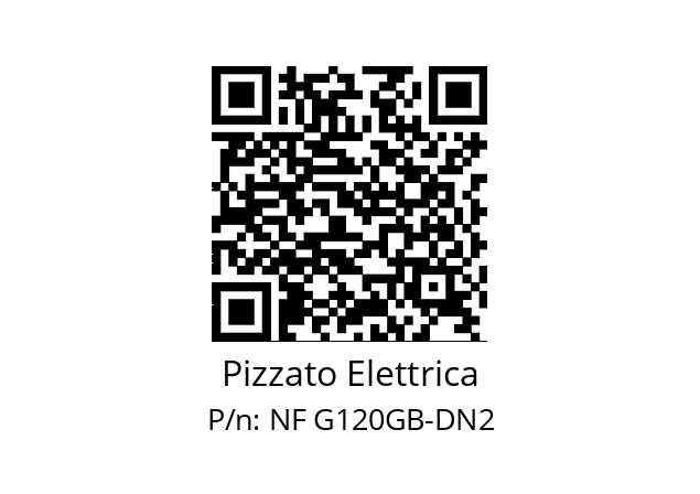   Pizzato Elettrica NF G120GB-DN2