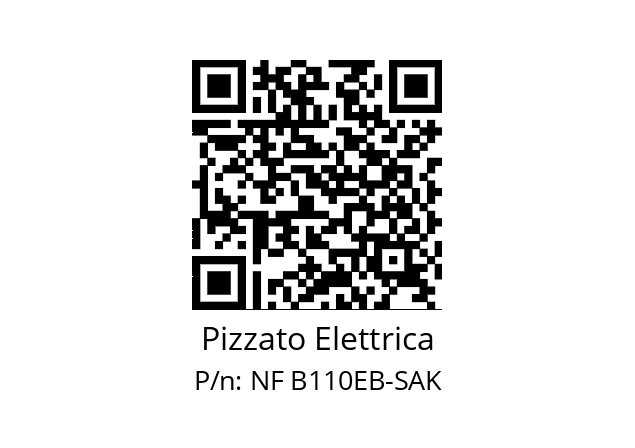   Pizzato Elettrica NF B110EB-SAK