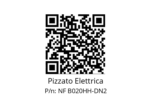   Pizzato Elettrica NF B020HH-DN2