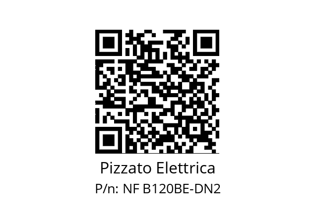   Pizzato Elettrica NF B120BE-DN2