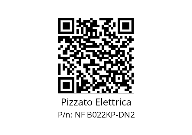   Pizzato Elettrica NF B022KP-DN2