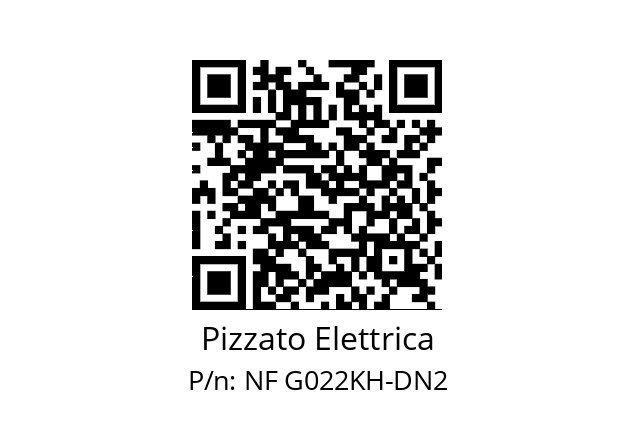   Pizzato Elettrica NF G022KH-DN2