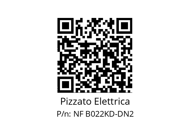   Pizzato Elettrica NF B022KD-DN2