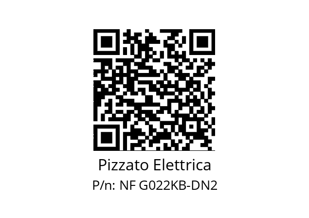   Pizzato Elettrica NF G022KB-DN2