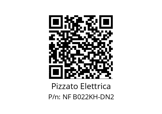   Pizzato Elettrica NF B022KH-DN2