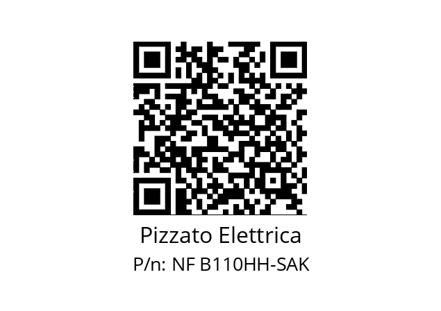   Pizzato Elettrica NF B110HH-SAK