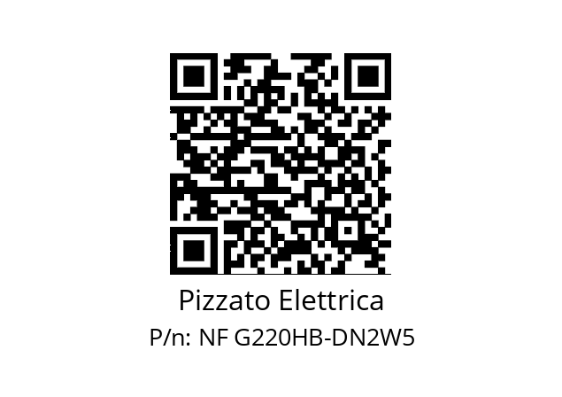   Pizzato Elettrica NF G220HB-DN2W5