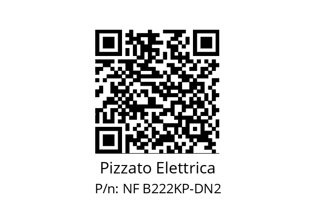   Pizzato Elettrica NF B222KP-DN2